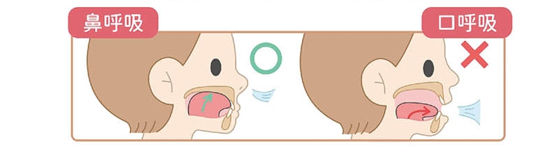 鼻呼吸 vs 口呼吸示意圖